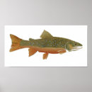 Pesquisar por broca pôsteres pósteres Truta