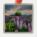 Pesquisar por nova zelândia ornamentos Paisagem