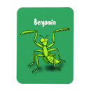 Pesquisar por louva deus imas Mantis