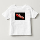 Pesquisar por circulatório camisetas Biologia