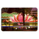 Pesquisar por do flamingo imas Qualquer pessoa