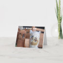 Pesquisar por o melhor chefe cartoes Fotografia