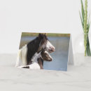 Pesquisar por gypsy cartoes Cavalos