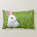 Pesquisar por lapin Animais