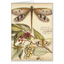 Pesquisar por fruta do dragão cartoes postais Flores