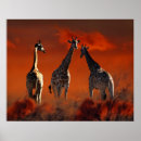 Pesquisar por imagens animais pósteres Girafa