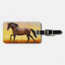 Pesquisar por garanhão bagagem tags Equestre