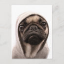 Pesquisar por produtos pug Cãozinho