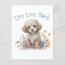 Pesquisar por caos cartoes postais Amigo