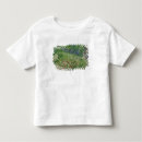 Pesquisar por daubigny camisetas Campo