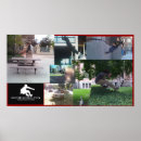 Pesquisar por parkour pósteres Freerunning