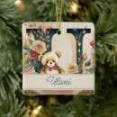 Pesquisar por e u ornamentos Elegante