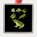 Pesquisar por biologia ornamentos Estudante
