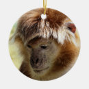 Pesquisar por macaco bonito ornamentos Animal