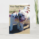 Pesquisar por buldogue inglês cartoes Cachorros