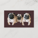 Pesquisar por pug cartao de visita Filhote de cachorro