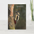 Pesquisar por pássaro vermelho cartoes Branco