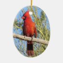 Pesquisar por cardinal ornamentos Pássaro