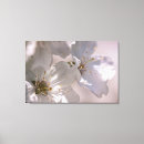Pesquisar por blossom impressão de canvas Jardim