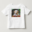Pesquisar por doodle dourado camisetas Caniche