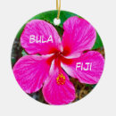 Pesquisar por fiji ornamentos Flor