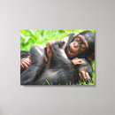 Pesquisar por wildlife impressão de canvas Young animal