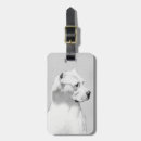 Pesquisar por argentina bagagem tags Argentino