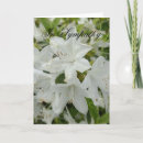 Pesquisar por azalea cartoes Branco