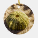 Pesquisar por sea ornamentos Areia