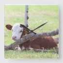 Pesquisar por rancho relogios de parede Vaca