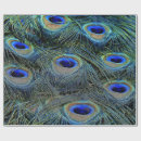 Pesquisar por penas coloridas papel de presente Qualquer pessoa