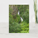 Pesquisar por thunderbird cartoes Fotografia