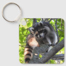 Pesquisar por do bandido chaveiros Natureza
