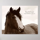 Pesquisar por cavalos do vintage pôsteres pósteres Inspiração