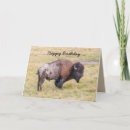 Pesquisar por yellowstone cartoes Vadia