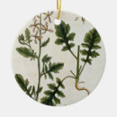 Pesquisar por erval ornamentos Belas artes