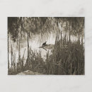 Pesquisar por paisagem do inverno cartoes postais Vida selvagem