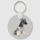 Pesquisar por schnauzers chaveiros Cães