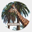 Pesquisar por girafas adesivos Vida selvagem