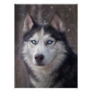 Pesquisar por husky siberiano pôsteres pósteres Inverno