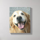 Pesquisar por sorriso impressão de canvas Cão