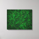 Pesquisar por erva daninha impressão de canvas Natureza