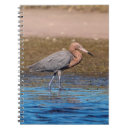 Pesquisar por beach cadernos de notas Animal