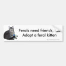 Pesquisar por feroz adesivos carros Gato