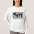 Pesquisar por bezerros camisetas Animal