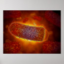 Pesquisar por partículas pôsteres pósteres Ilustração