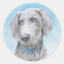 Pesquisar por do weimaraner adesivos Cinza