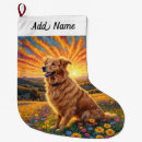 Pesquisar por golden retriever meias de natal Cães