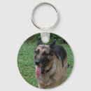 Pesquisar por domesticado chaveiros Cão