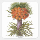 Pesquisar por fricção adesivos Natureza